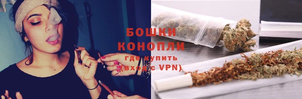 ALPHA PVP Няндома