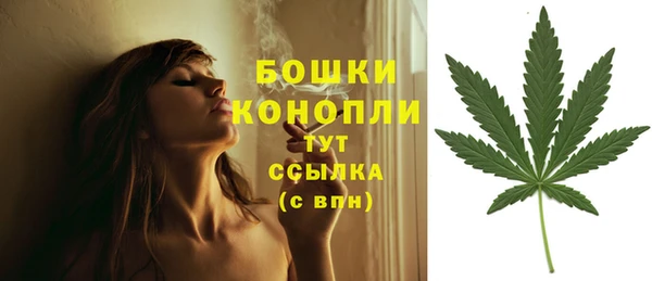 соль курить ск Нязепетровск