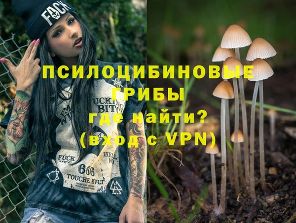 соль курить ск Нязепетровск