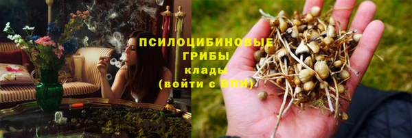 соль курить ск Нязепетровск