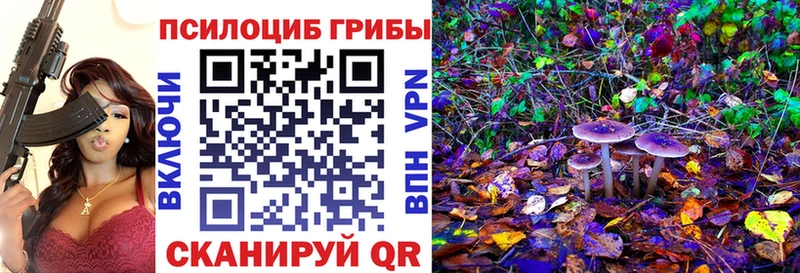 Псилоцибиновые грибы GOLDEN TEACHER Кондрово