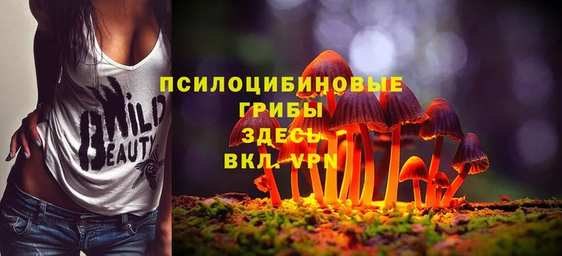 даркнет сайт  Кондрово  Псилоцибиновые грибы Magic Shrooms 