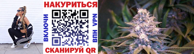 закладки  Кондрово  Канабис ГИДРОПОН 